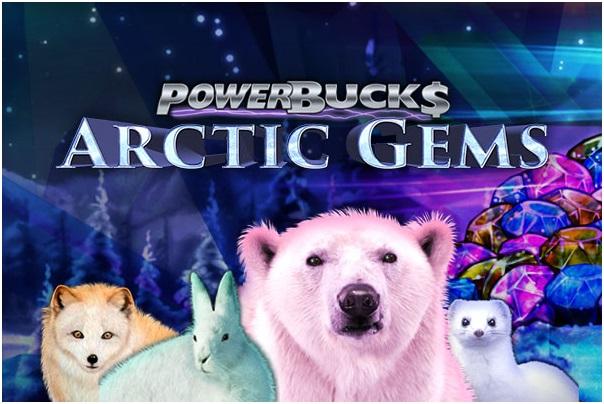 Arctic gems