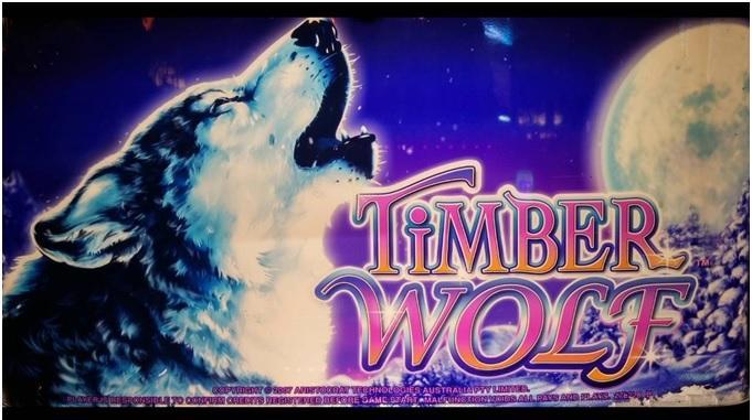 Timber Wolf