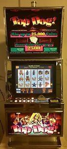 RARE CDS TOP DOG VIDEO SLOT MACHINE With Self Initialize And Diagnostic